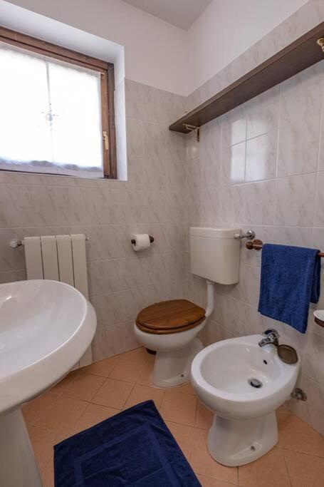 Happy Guest Apartments - Alpin Vista Colere Εξωτερικό φωτογραφία